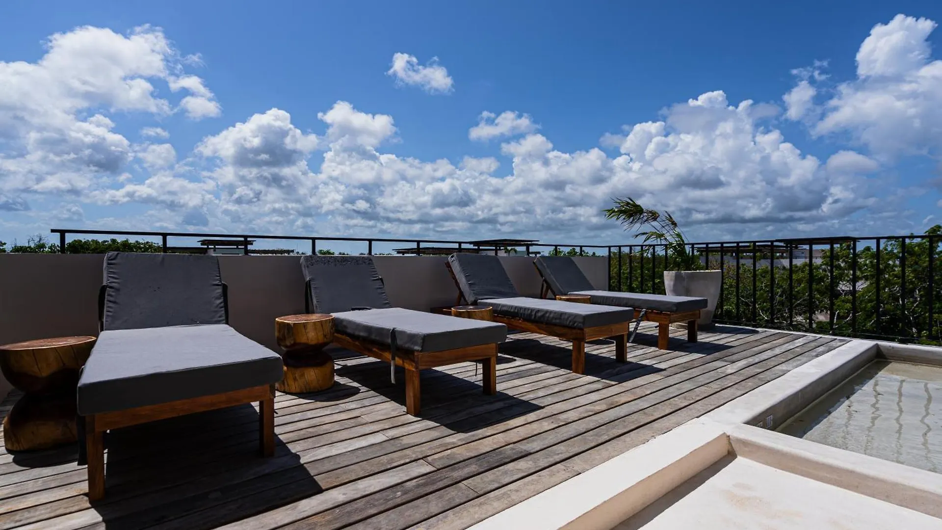 Penthouse With Private Jungle, Pool, Downtown Apartment Tulum