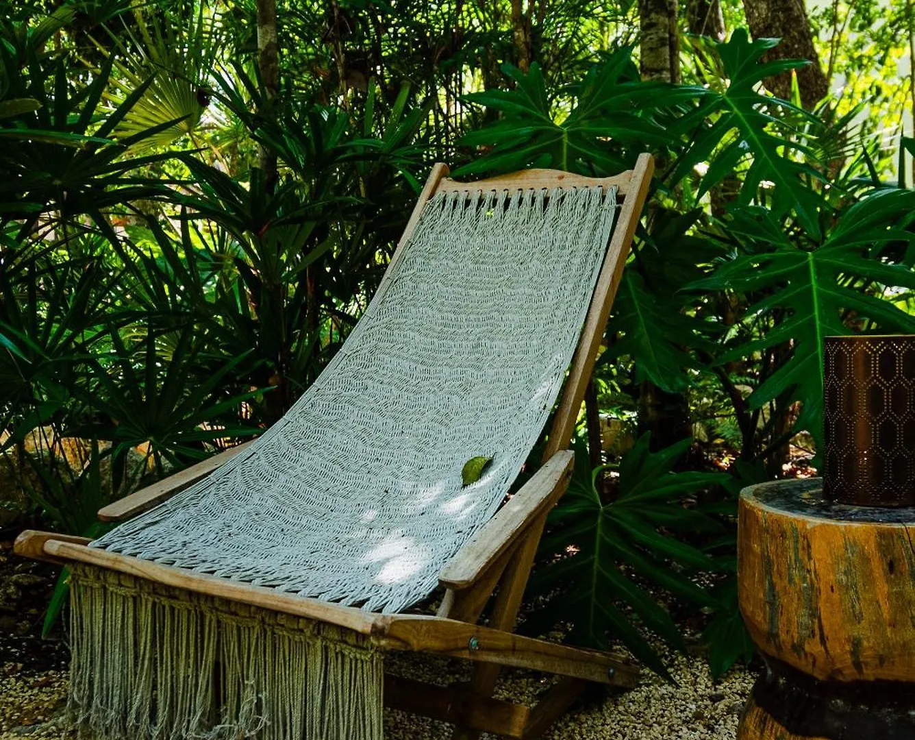 Penthouse With Private Jungle, Pool, Downtown Apartment Tulum 0*,
