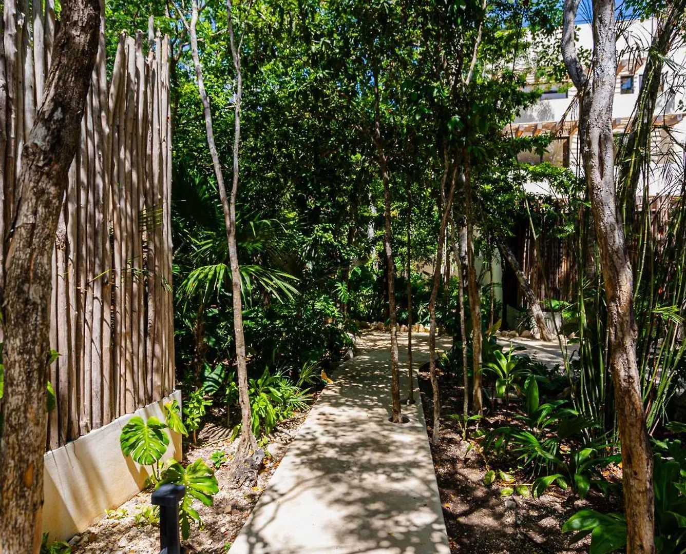 Penthouse With Private Jungle, Pool, Downtown Apartment Tulum