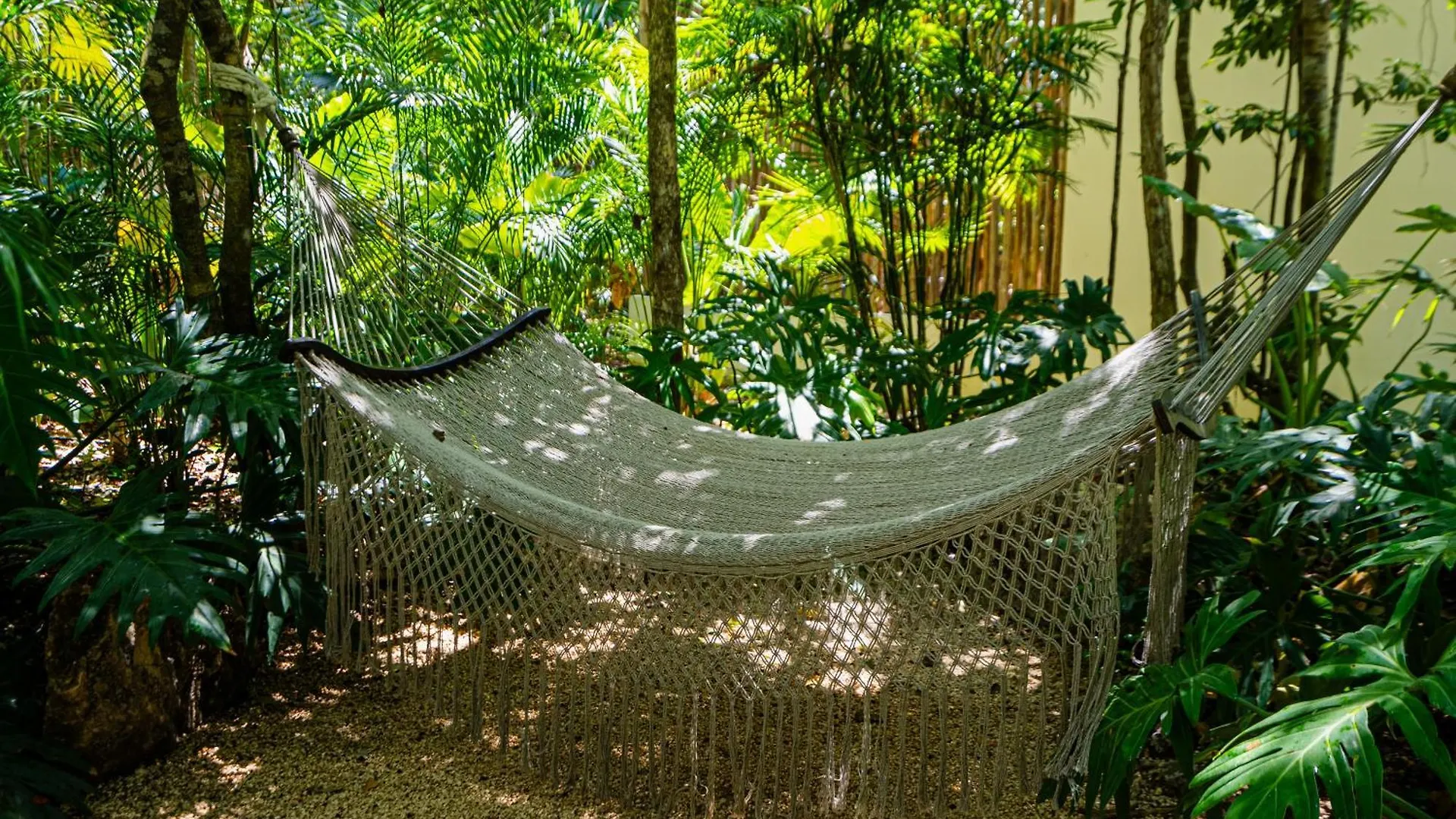 Penthouse With Private Jungle, Pool, Downtown Apartment Tulum 0*,
